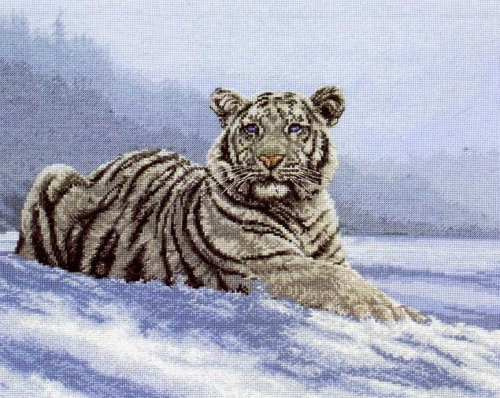 5678-1011 "Сибирский тигр"